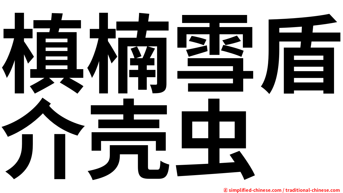 槙楠雪盾介壳虫