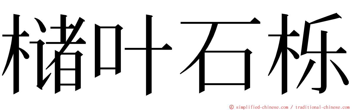 槠叶石栎 ming font