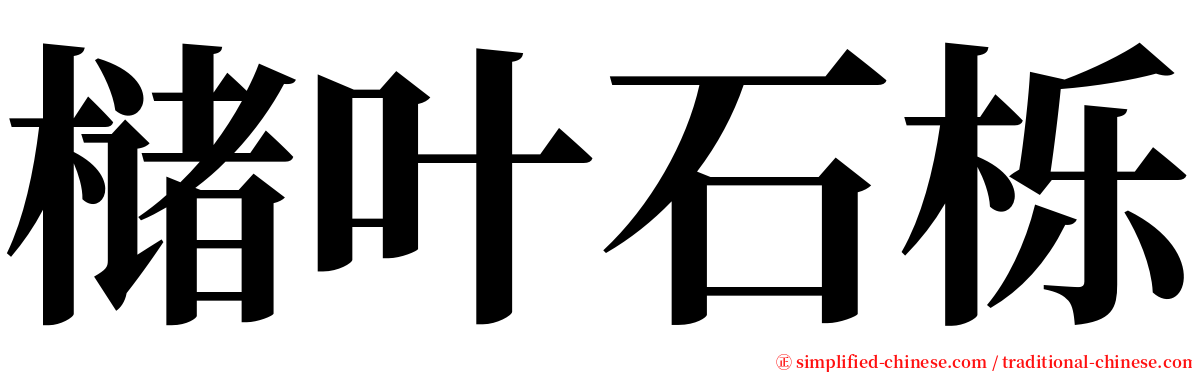 槠叶石栎 serif font