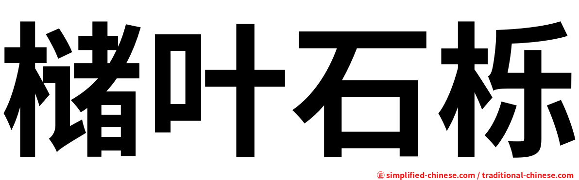 槠叶石栎