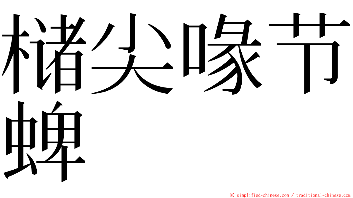 槠尖喙节蜱 ming font