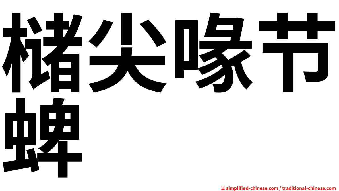 槠尖喙节蜱