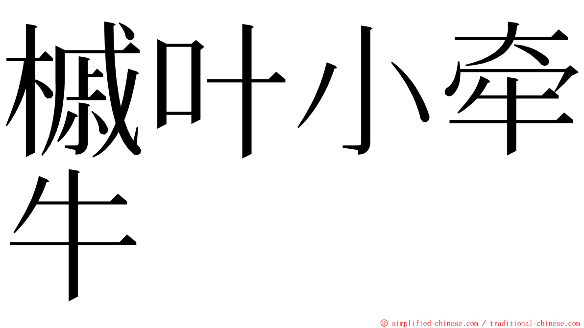 槭叶小牵牛 ming font