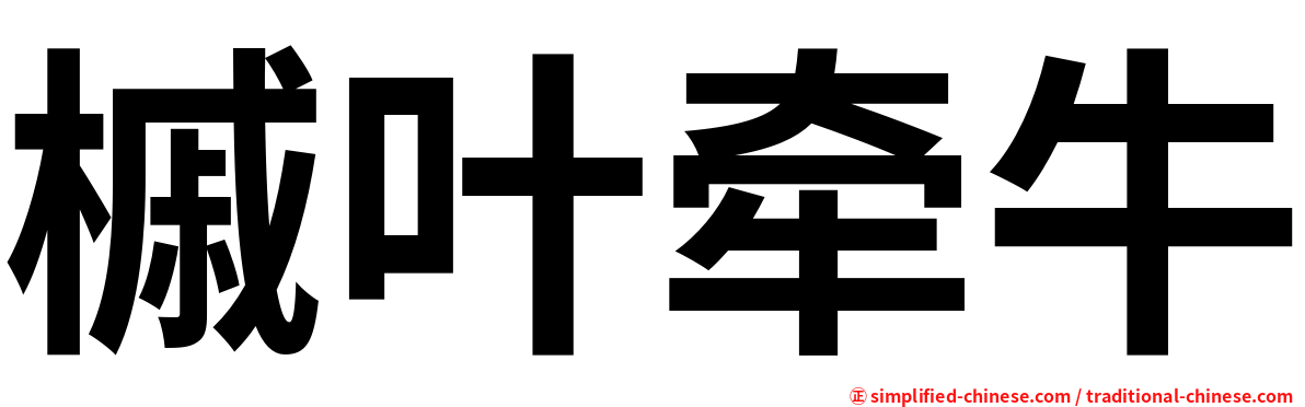 槭叶牵牛