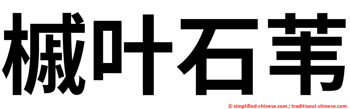 槭叶石苇