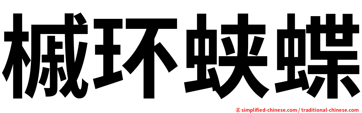 槭环蛱蝶