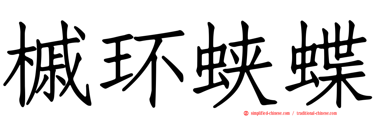 槭环蛱蝶
