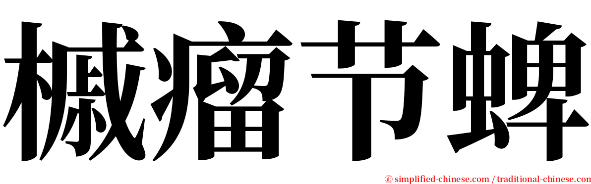 槭瘤节蜱 serif font