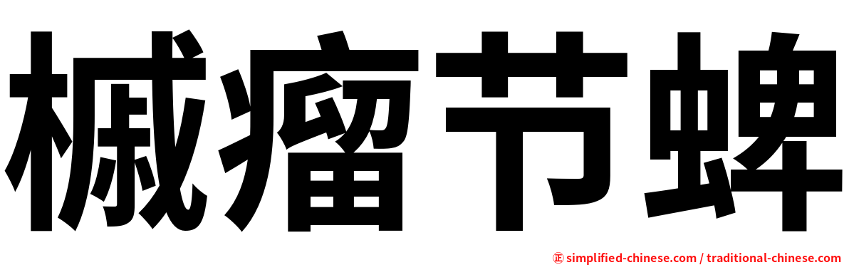 槭瘤节蜱
