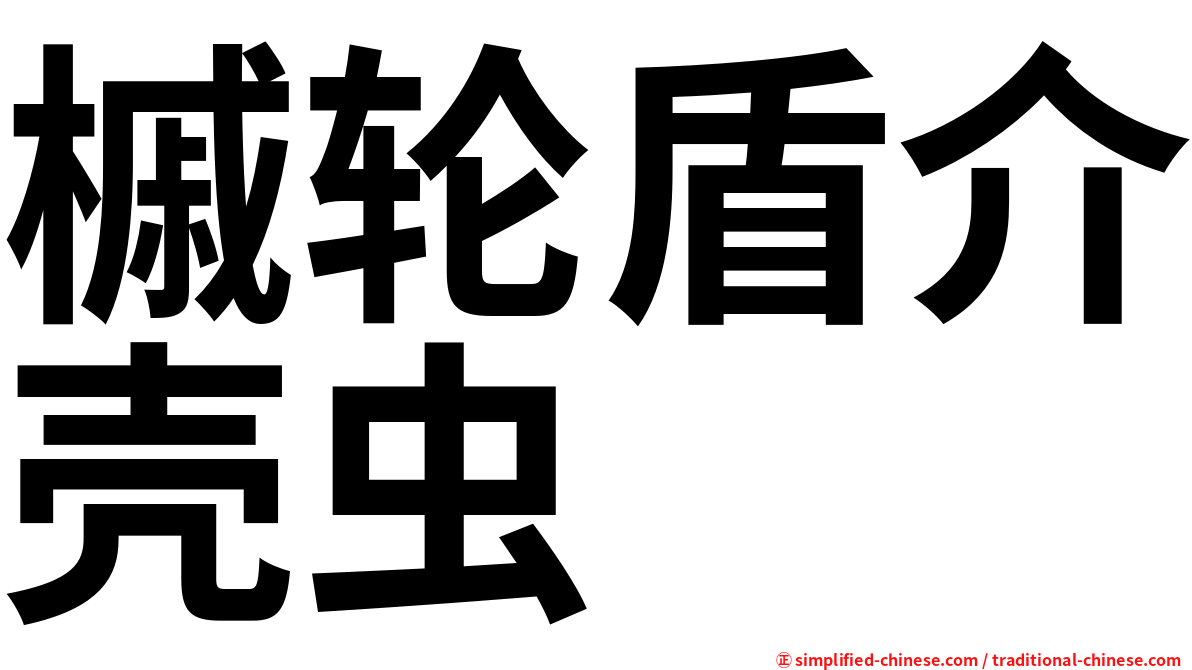 槭轮盾介壳虫