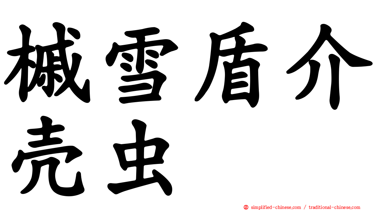 槭雪盾介壳虫