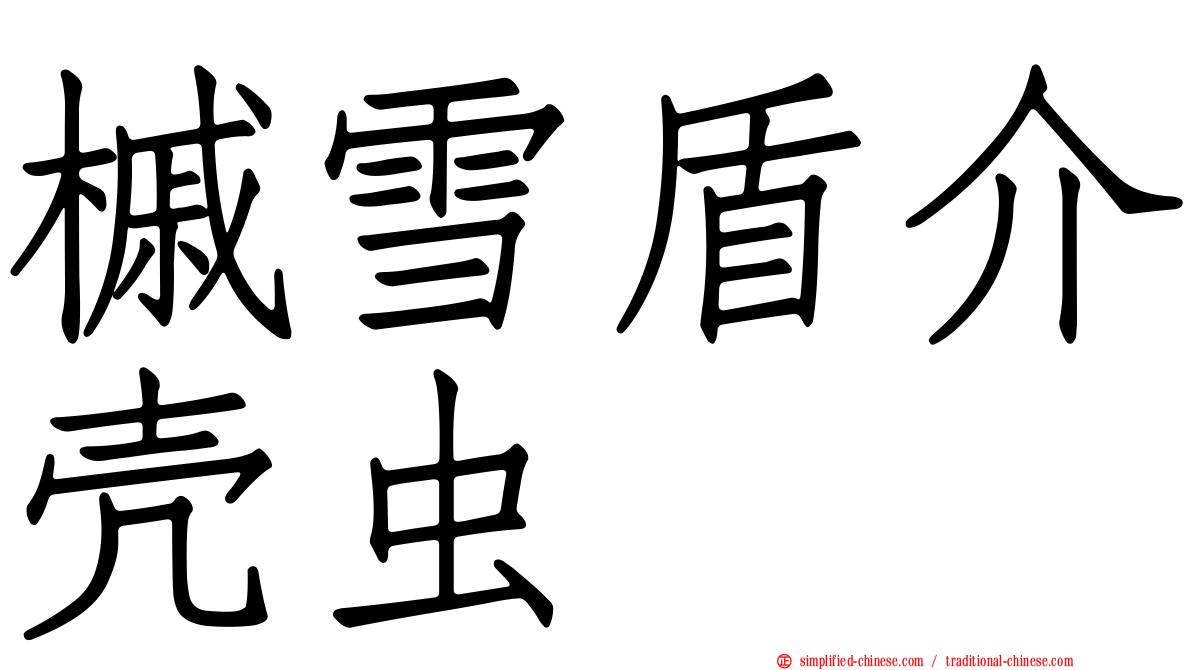 槭雪盾介壳虫