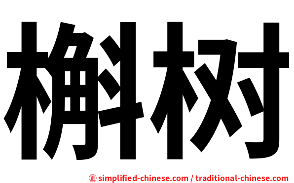 槲树