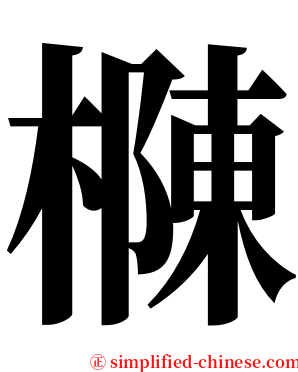 樄 serif font