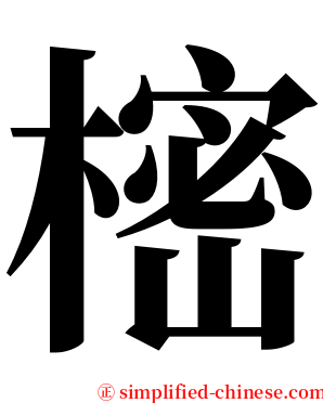 樒 serif font