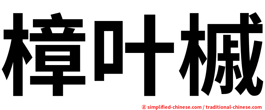樟叶槭