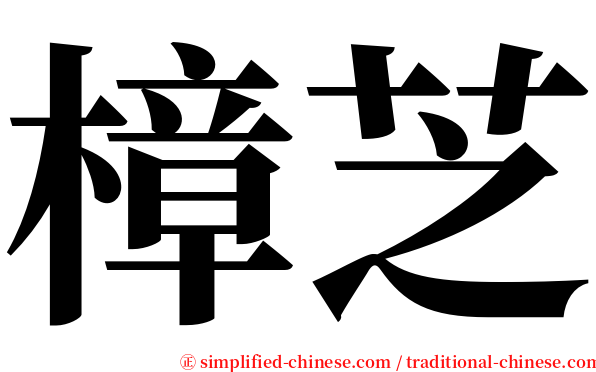 樟芝 serif font