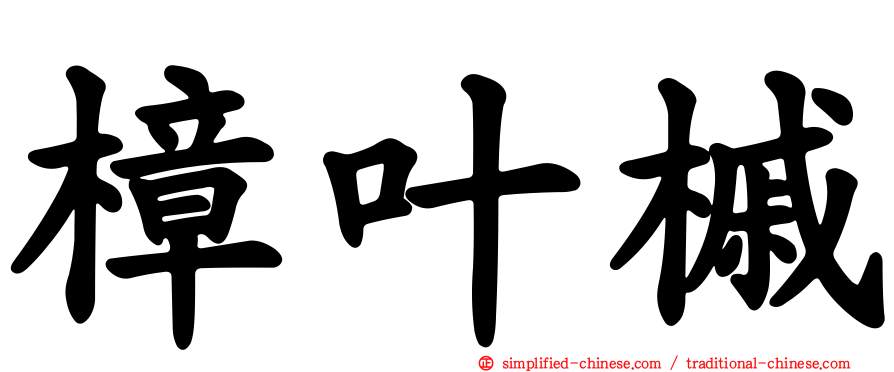 樟叶槭