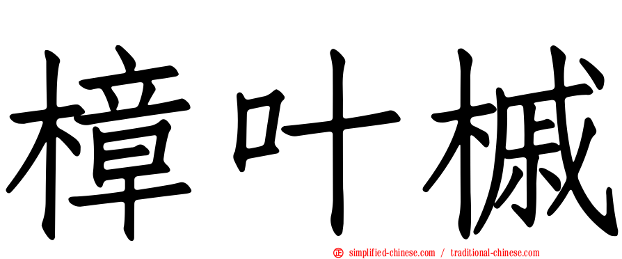 樟叶槭