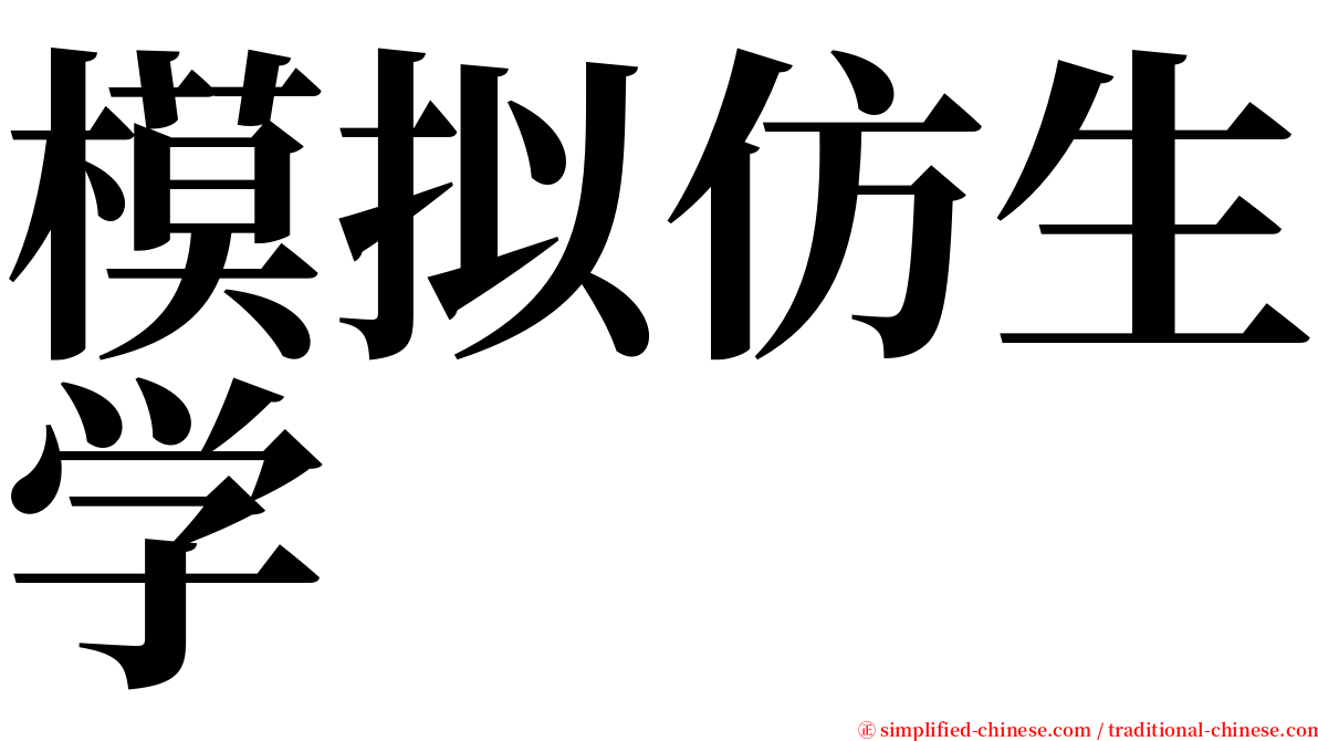 模拟仿生学 serif font