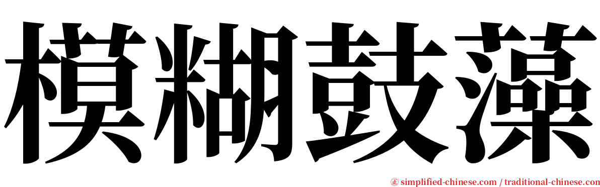 模糊鼓藻 serif font