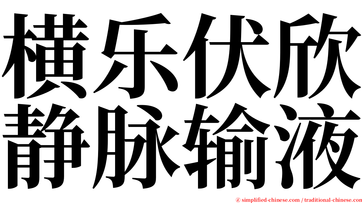 横乐伏欣静脉输液 serif font