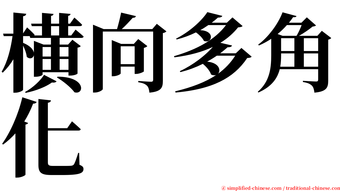 横向多角化 serif font