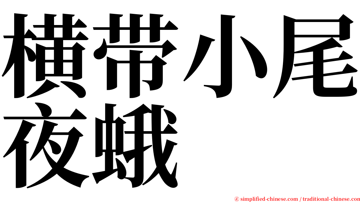 横带小尾夜蛾 serif font