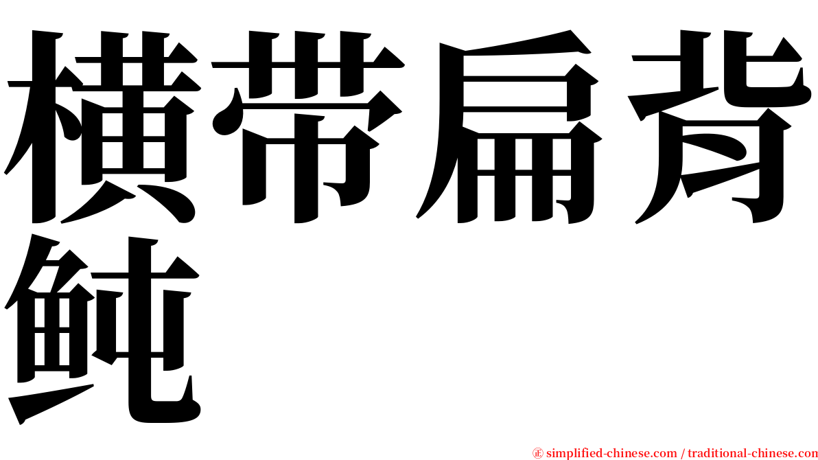 横带扁背鲀 serif font