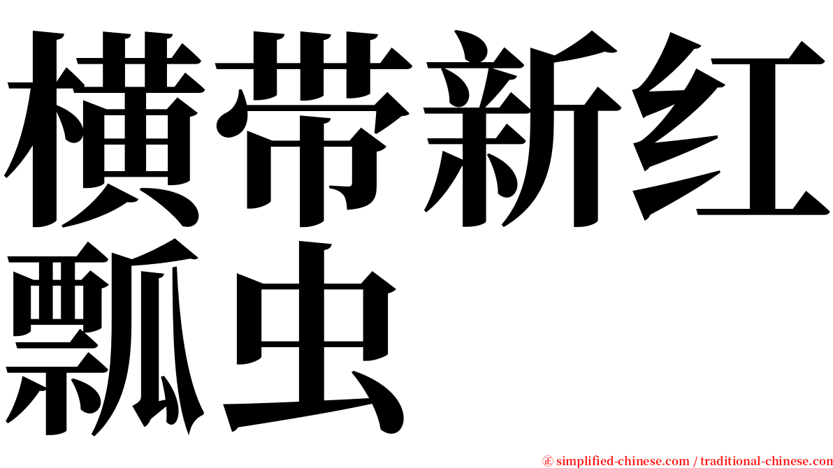 横带新红瓢虫 serif font