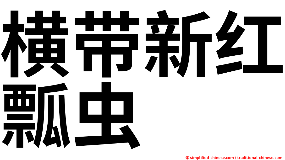 横带新红瓢虫