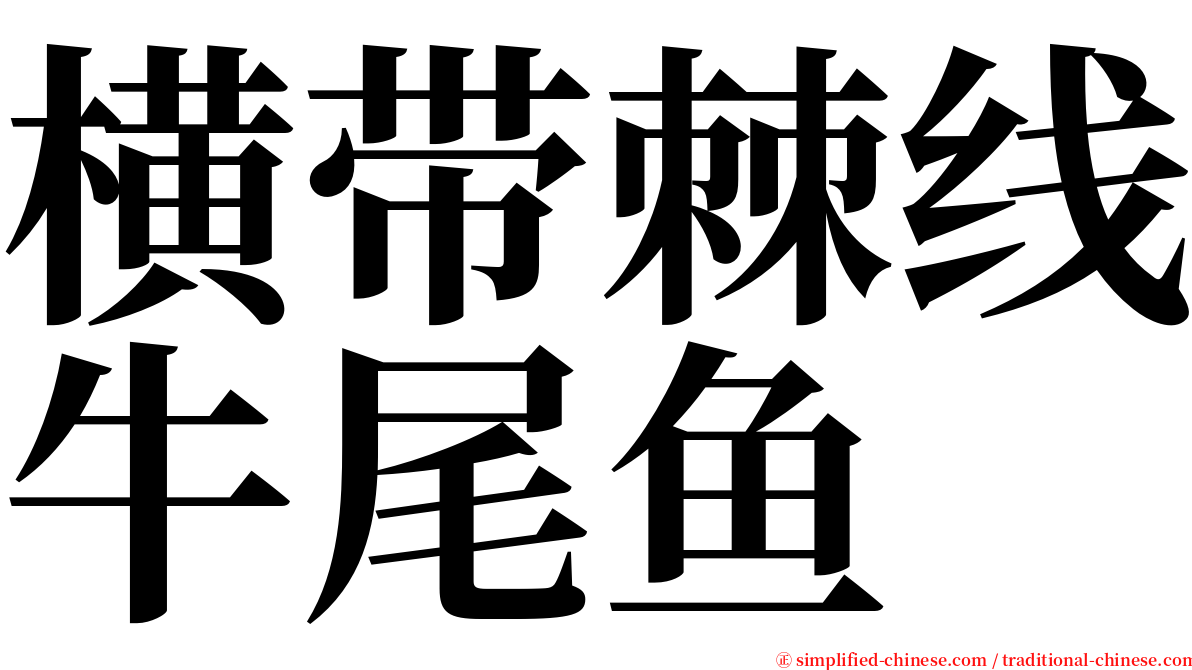 横带棘线牛尾鱼 serif font