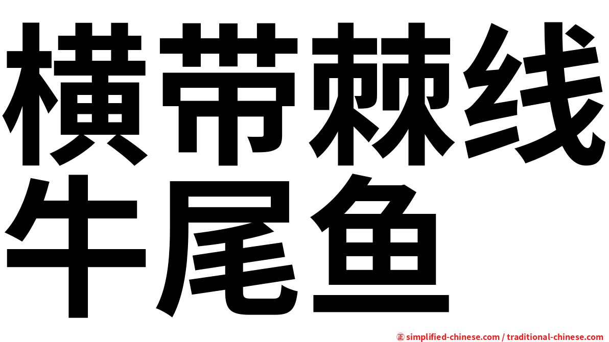 横带棘线牛尾鱼