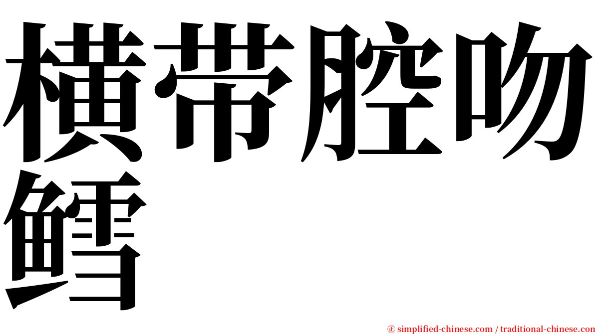 横带腔吻鳕 serif font