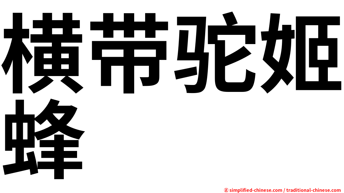 横带驼姬蜂