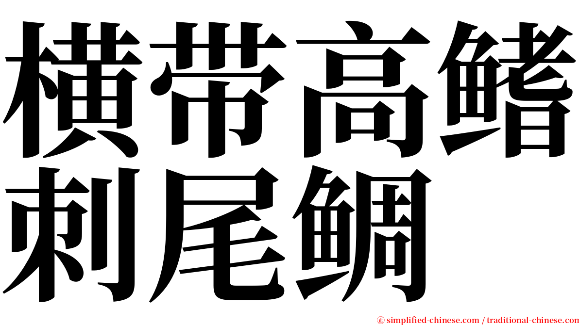 横带高鳍刺尾鲷 serif font