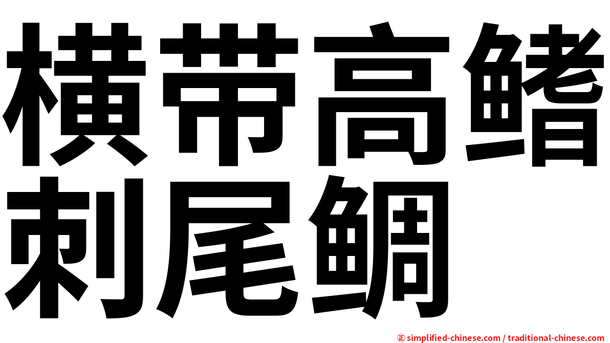 横带高鳍刺尾鲷