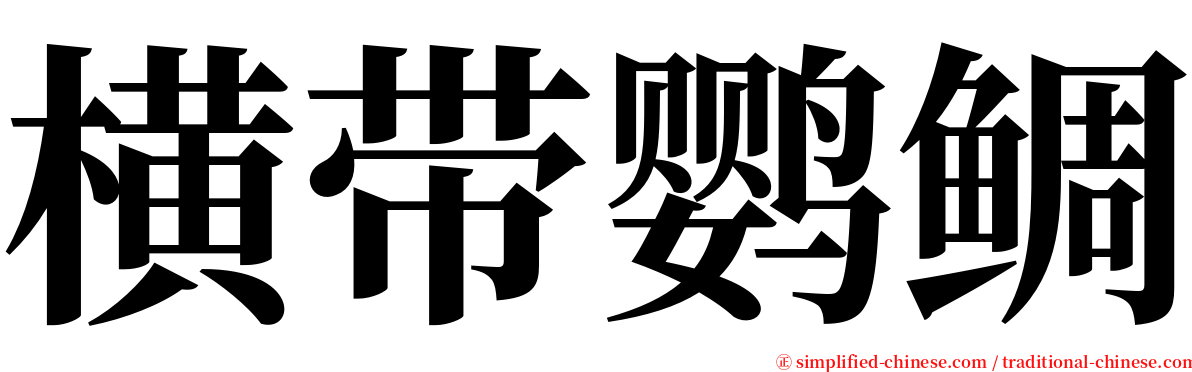 横带鹦鲷 serif font