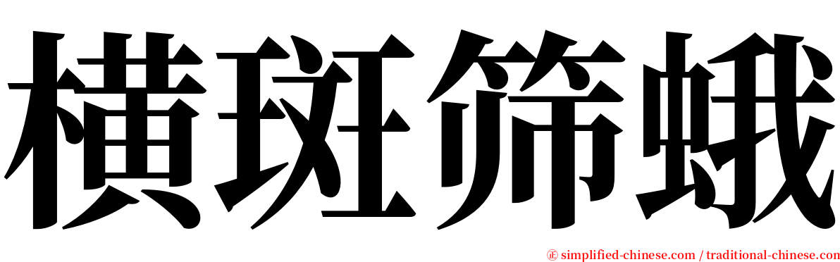 横斑筛蛾 serif font