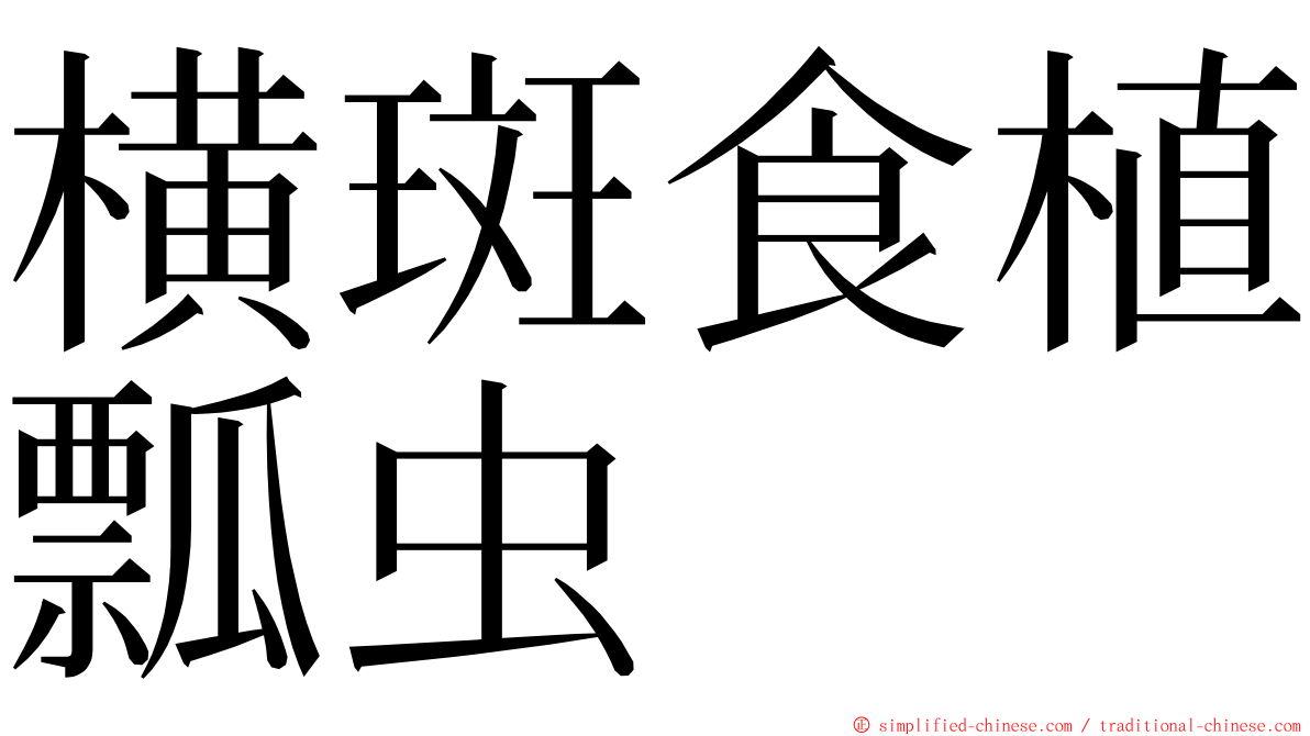 横斑食植瓢虫 ming font