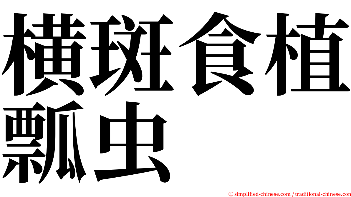 横斑食植瓢虫 serif font