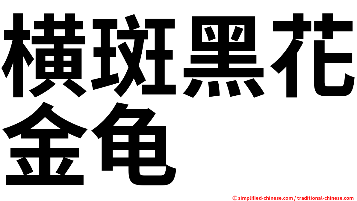 横斑黑花金龟