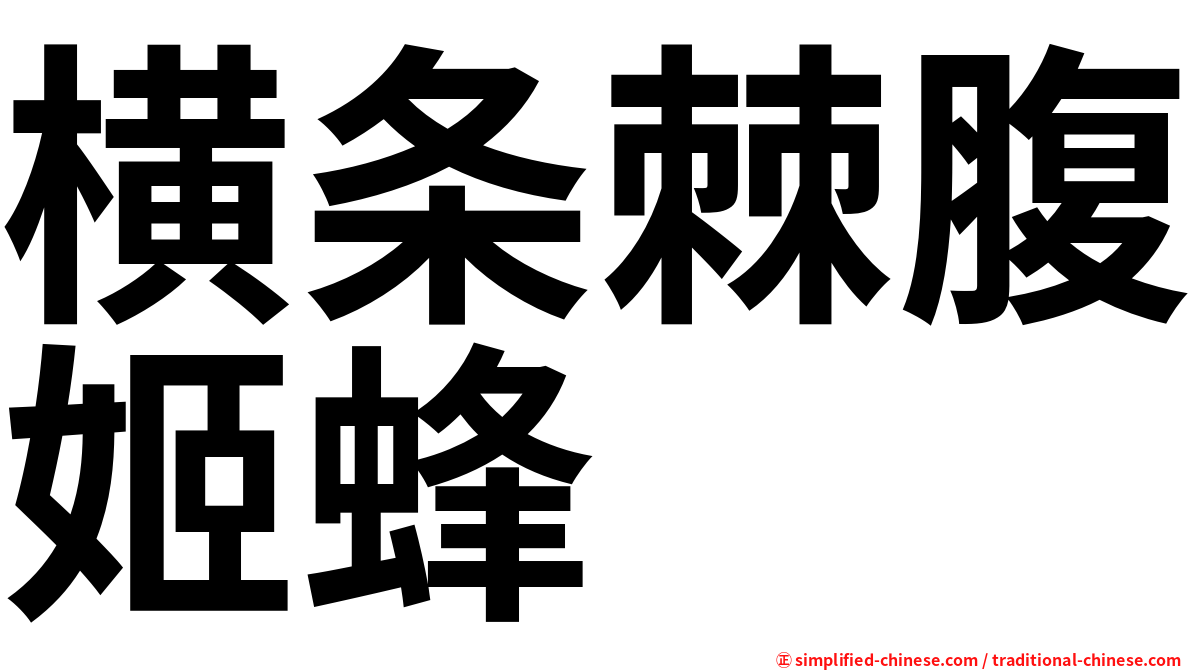 横条棘腹姬蜂