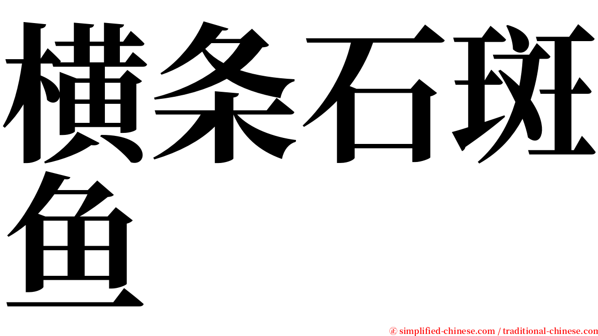 横条石斑鱼 serif font