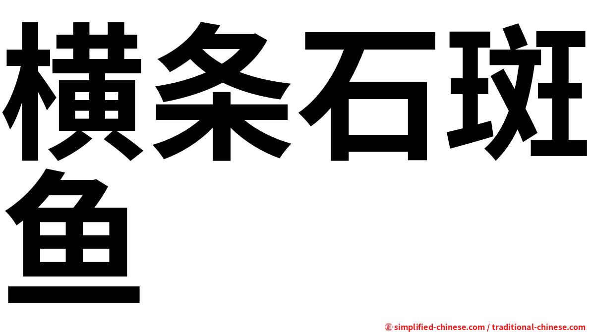 横条石斑鱼
