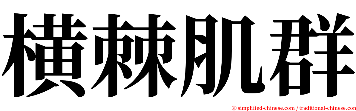 横棘肌群 serif font