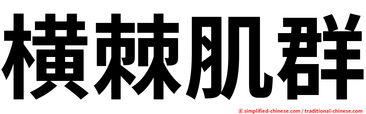 横棘肌群
