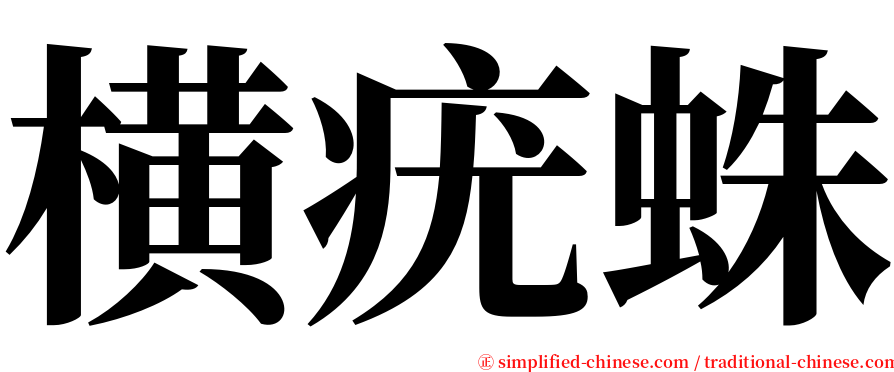 横疣蛛 serif font