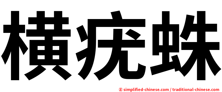 横疣蛛
