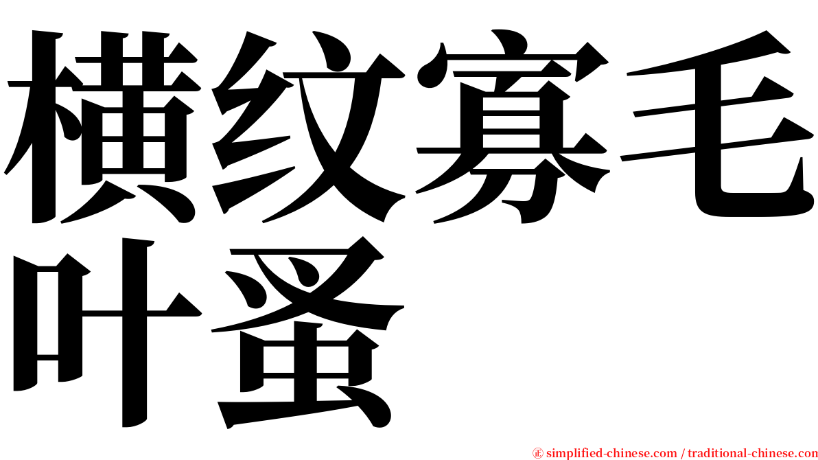 横纹寡毛叶蚤 serif font